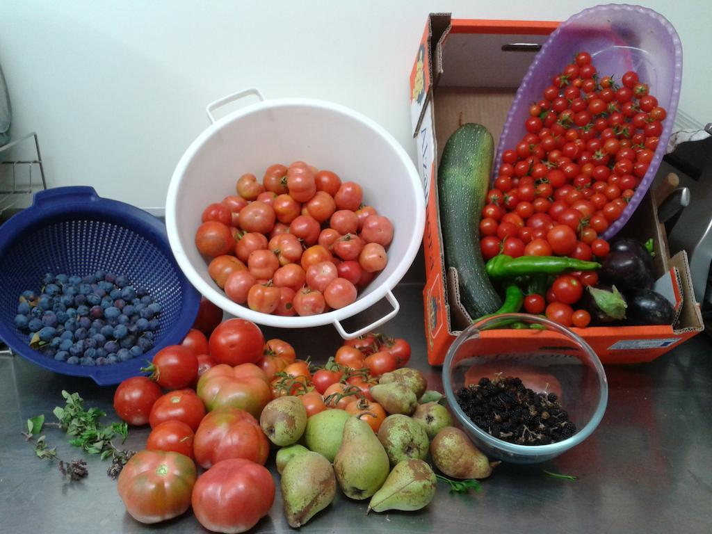 Masia Rovira Pinell de Solsones ภายนอก รูปภาพ